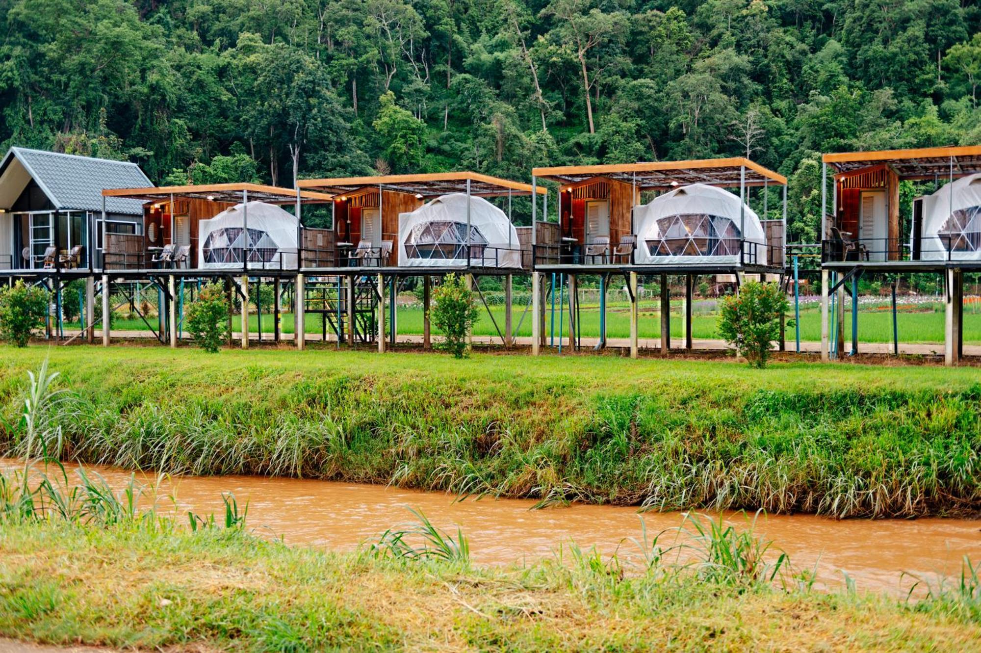 เนเจอร์วัลเล่ย์แคมป์ ปางมะผ้า Hotel Exterior photo